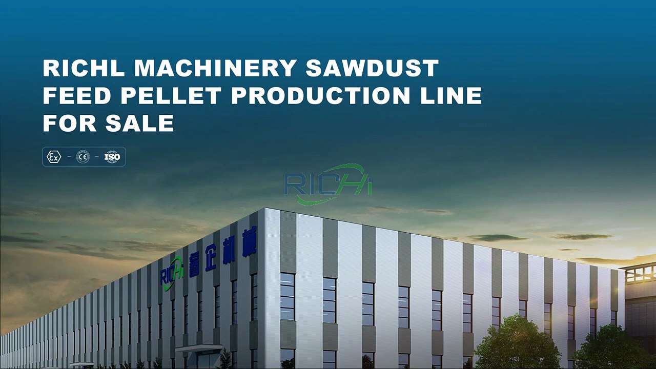 Wood Sawdust Pellet Production Line | High Efficiency Biomass Pellet Making Solution