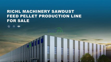 Wood Sawdust Pellet Production Line | High Efficiency Biomass Pellet Making Solution