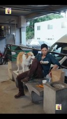 Cocinando Mi Camino De Vuelta Al Amor Completo Minicinelatino