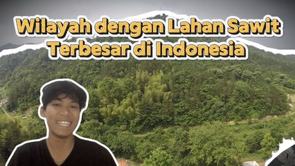 Wilayah dengan Lahan Sawit Terbesar di Indonesia