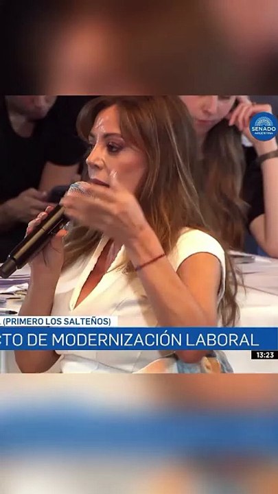 Royón puso a Salta como modelo en el debate por...