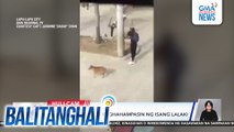 Aso, patay matapos paghahampasin ng isang lalaki | Balitanghali