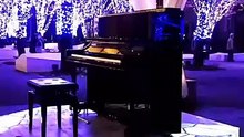 488 ドラマティックレイン イルミネーション版 #スタインウェイグランドピアノ #music #ピアノカバー #稲垣潤一   #イルミネーション #クリスマス #christmas