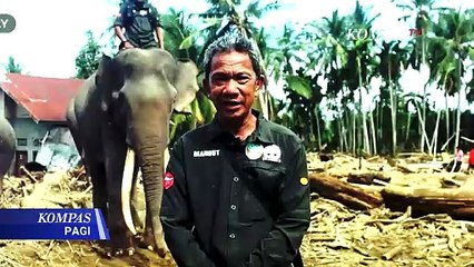 [FULL] Hutan Dirusak, Bagaimana Nasib Habitat Satwa Dilindungi? | KOMPAS PAGI