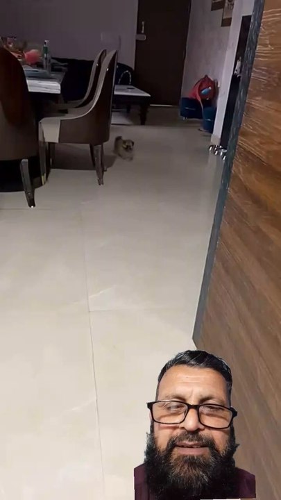 funny video