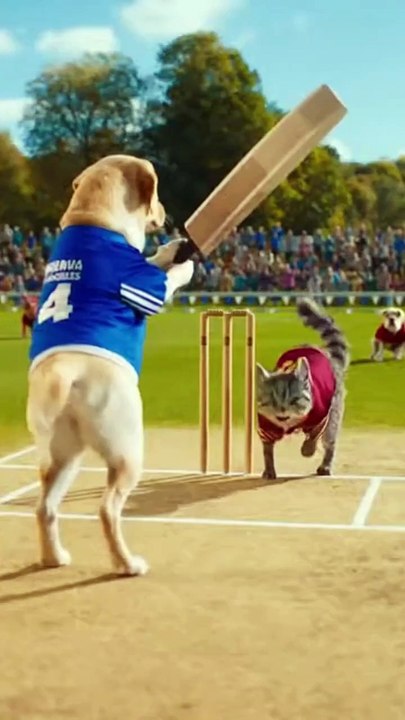 Morning time Today's Trending Video