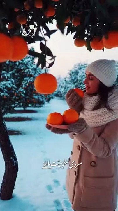 Sardi k mosam main Malty or tum Today's Trending Video