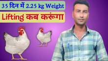 35 din mein 2.25 average weight