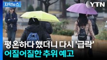 [자막뉴스] 토요일 비 온 뒤 일요일 기온 급락...롤러코스터급 변화 / YTN