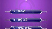 GK Questions in Telugu|| General Knowledge. Questions Telugu || Interesting Questions Telugu#gkquiz #gk #generalknowledge #gkquestion #gkchallenge #generalknowledgequestions #techgrowtelugu #telugugk #teluguquiz #compitativeexams #gktricks