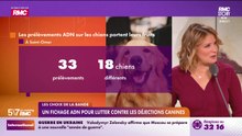 Les choix de la bande : Un fichage ADN pour lutter contre les déjections canines - 18/12