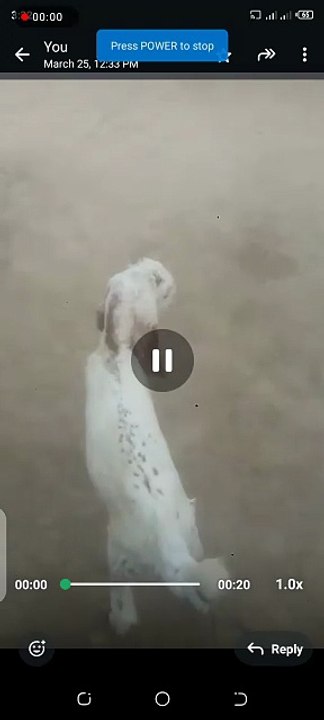 20251209153242
