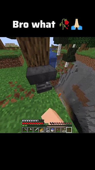Minecraft Moment #3