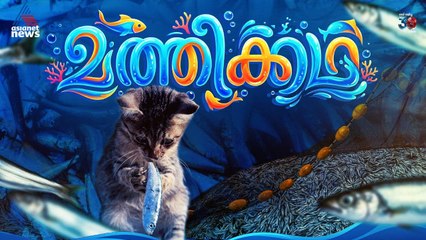 ഈ മത്തിയെന്തൊരു മത്തിയാണെന്നോ... രുചിയും ​ഗുണവും നിറഞ്ഞ മത്തിക്കഥ