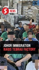 356 undocumented foreigners detained in Tebrau factory raid