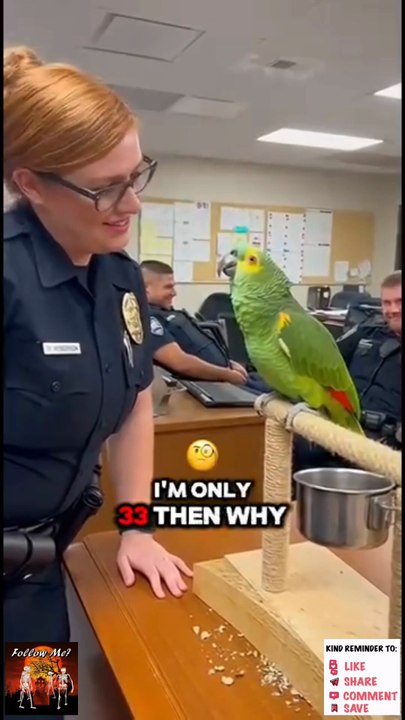 🌎 world Best funny 😅 video