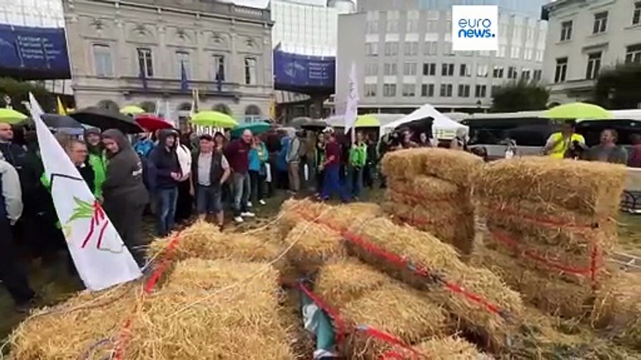 Nachrichten des Tages | 18. Dezember 2025 - Morgenausgabe