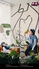 Daddy, Mommy Don't Divorce