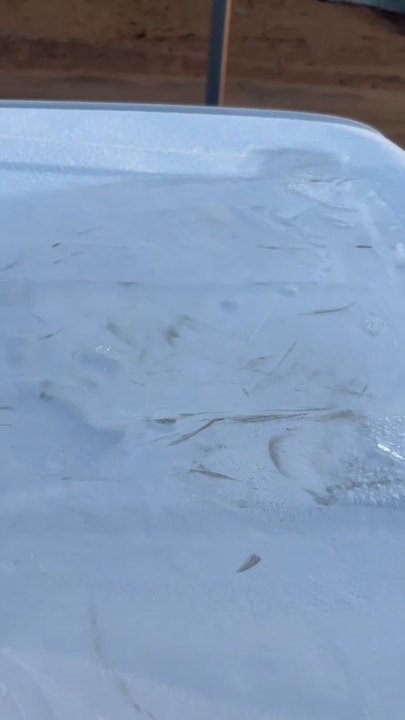 فجر قارس بتيماء.. الصقيع يتشكّل والحرارة 3 درجات تحت الصفر