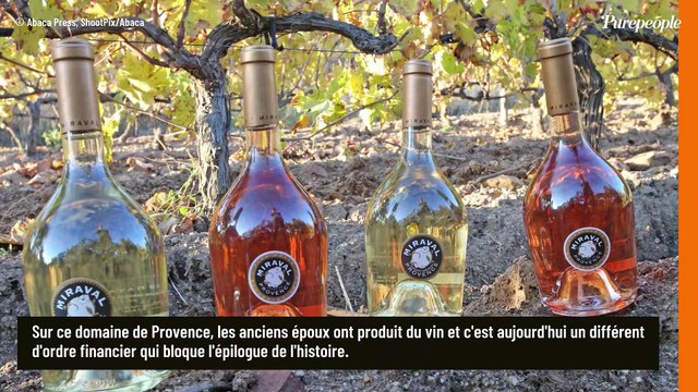 Brad Pitt et Angelina Jolie ont réglé leur divorce mais ils ne s'entendent toujours pas sur leur bien exceptionnel dans le Var