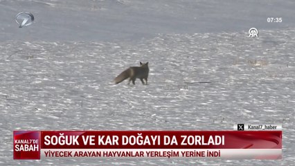 Kanal 7'de Sabah (Kanal 7 Ülke Tv Ortak Yayını) - 18 Aralık 2025
