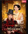 Revenge Began at Her Wedding Chinese Drama - English Sub
