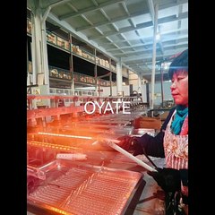 230v 2500w infrared emitter infrared heating lamp for blowing machine