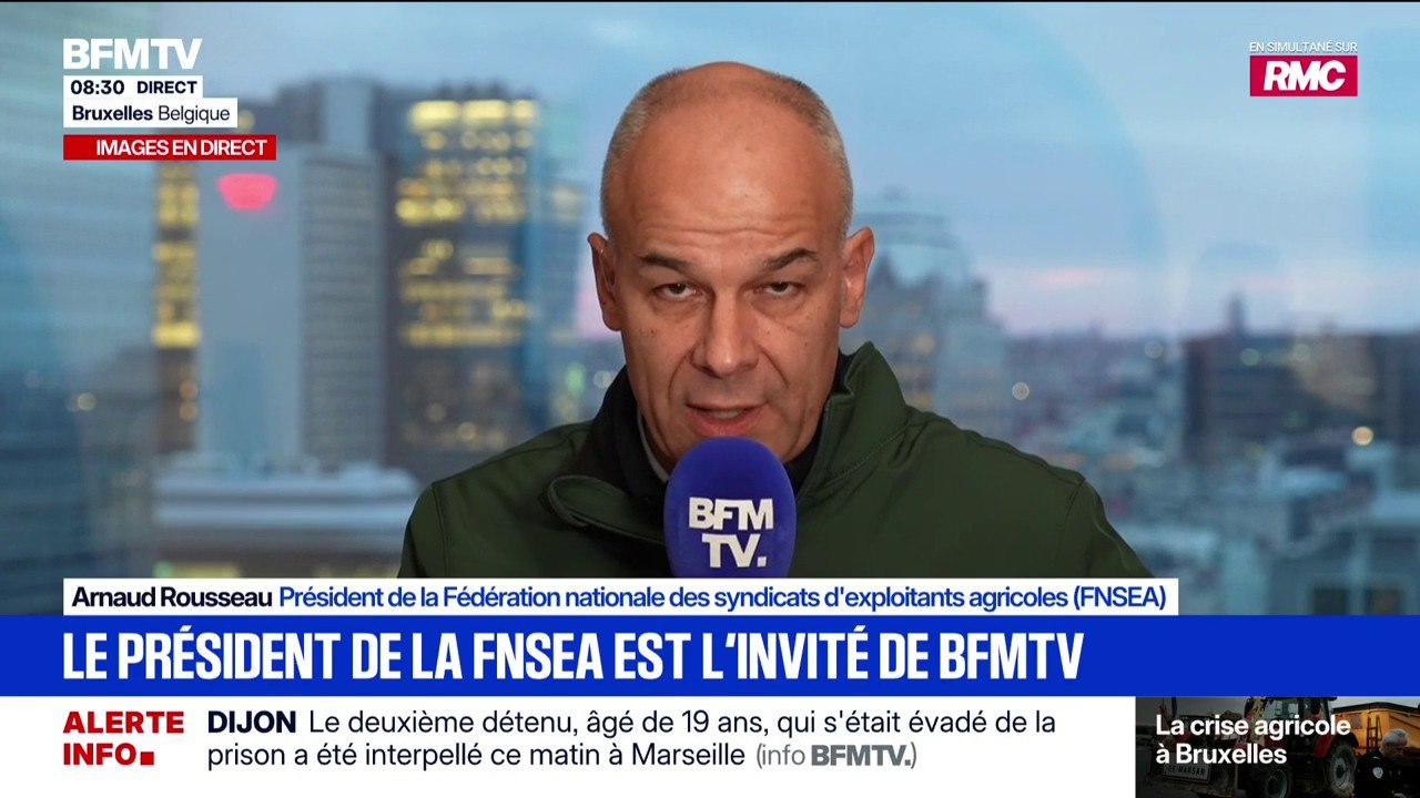 Mercosur, dermatose nodulaire bovine... "L'enjeu est beaucoup trop important pour les querelles" syndicales, assure Arnaud Rousseau, président de la FNSEA