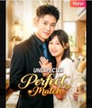 Unexpected Perfect Match Chinese Drama - English Sub