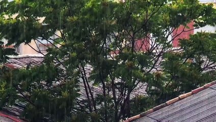 Worlds Deadliest Weather Caught on Camera 2022 Season 6 Episode 13 Engsub