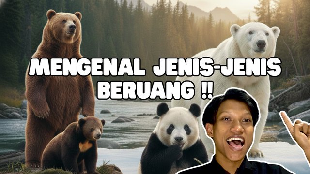 Berbagai Spesies Beruang Menghuni Berbagai Ekosistem di Seluruh Dunia-Serius Ini Hewan?