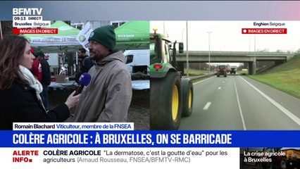 Manifestation d'agriculteurs à Bruxelles: "On veut que tout se passe bien", souligne ce viticulteur membre de la FNSEA