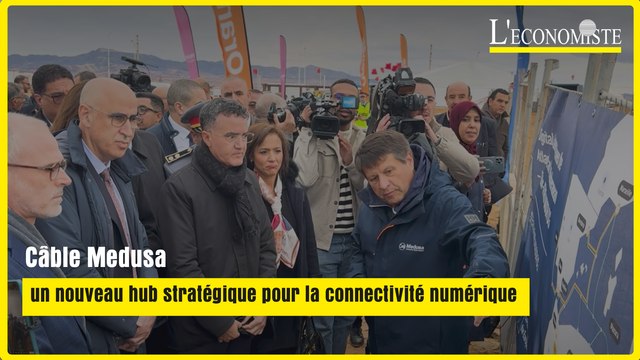 Câble Medusa : un nouveau hub stratégique pour la connectivité numérique