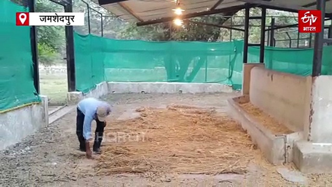 टाटा जूलॉजिकल पार्क में वन्य जीवों को ठंड से बच...