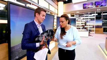 Dans "Télématin", Jean-Baptiste Marteau présente une nouvelle arrivée tandis que Julia Martin évoque son avenir.