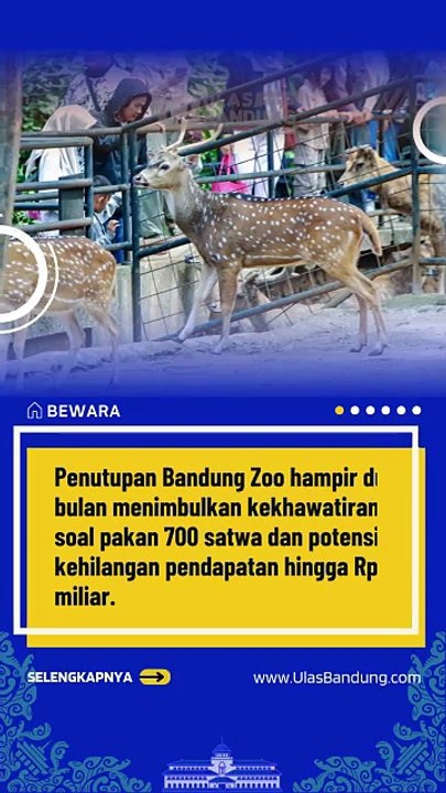 Pakan Satwa Bandung Zoo Jadi Tanggung Jawab Kemenhut