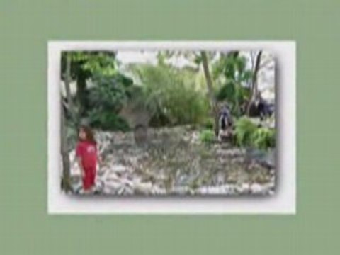 Girona Temps de flors Anys 2005 i 2008