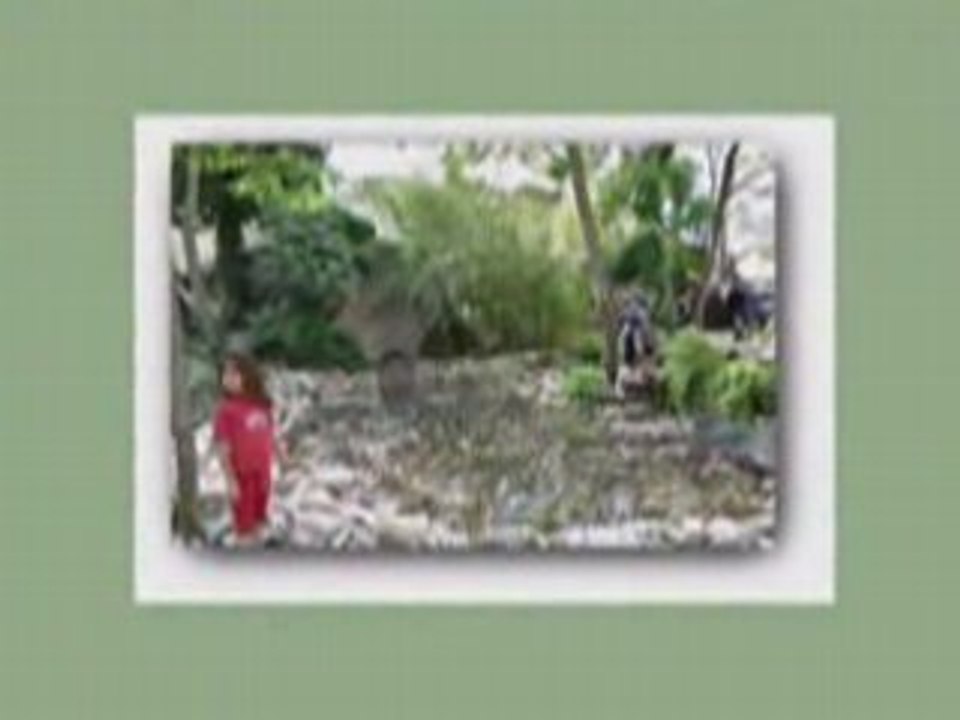 Girona Temps de flors Anys 2005 i 2008