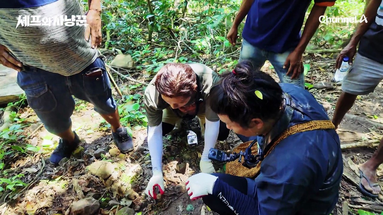 [#셰프와사냥꾼 8차티저] 야생에 완벽 적응했다! 의욕만은 만렙인 사냥꾼 김대호 | 셰프와 사냥꾼