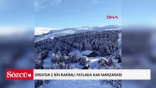 Ordu'da 2 bin rakımlı yaylada kar manzarası