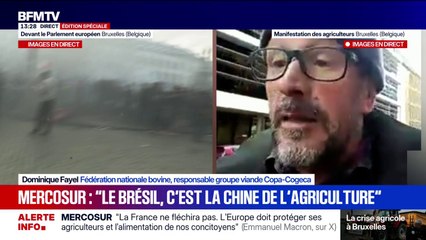 Mercosur: "Le Brésil est à l'agriculture ce que la Chine est à l'industrie", assure Dominique Fayel (fédération nationale bovine)