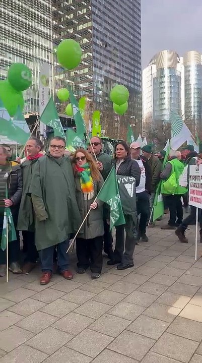 Manifestación en Bruselas de representantes de Asaja Castilla-La Mancha, incluida una delegación de Guadalajara.