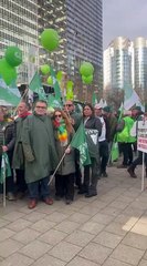 Manifestación en Bruselas de representantes de Asaja Castilla-La Mancha, incluida una delegación de Guadalajara.