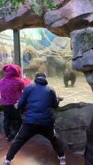 #funny video #shortvideo #viralvideo #funnyadda#