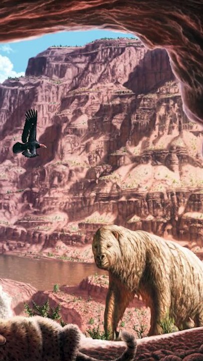 Sapiens a-t-il massacré Néandertal ?