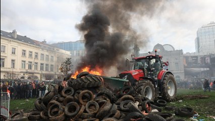 Direct: colère agricole : des tensions éclatent à Bruxelles