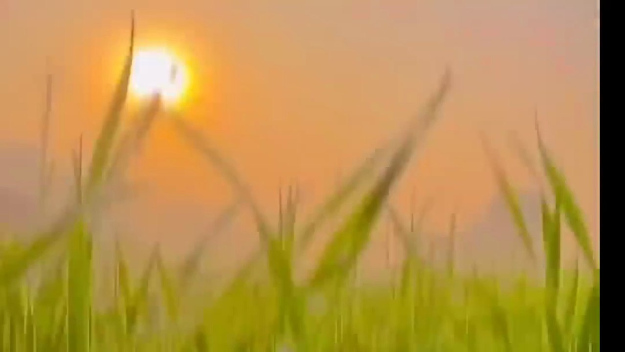 Beautiful place of world 🌍....... Funny videos 😂