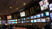 Evolving Attitudes Toward Sports Betting in the U.S.
