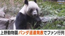 上野動物園パンダ返還発表でファン行列 🐼 Return of pandas to Ueno Zoo 2025 12月17日