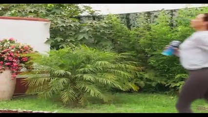 Mi Verdad Oculta  Capitulo 30 Mi Verdad Oculta  Capitulo 30